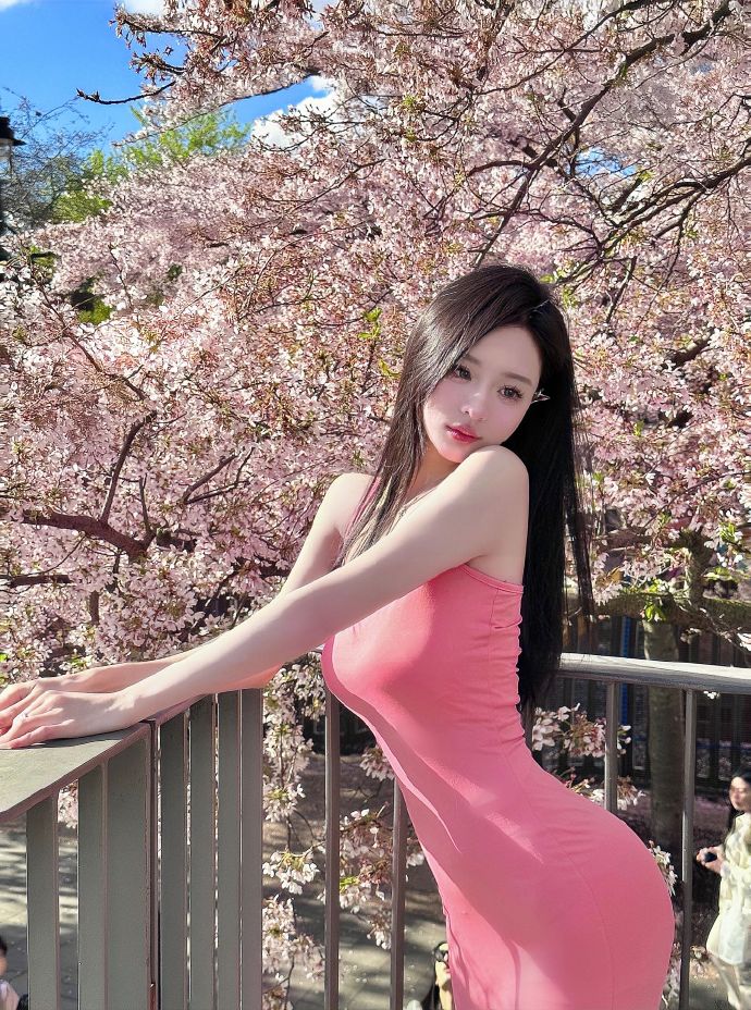 扶摇 封面