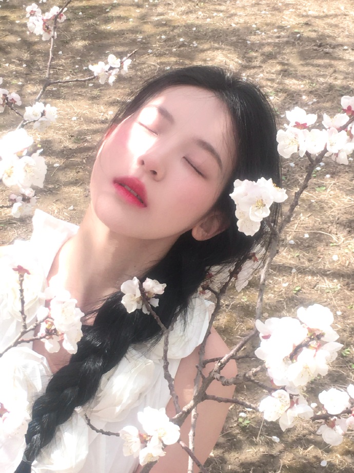 巡回检察组 剧照